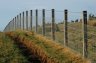 Profi Supreme - Traditional stock net fence with barb and rabbit net.  John Vicary from Yorkshire reckons he can average 170 - 180 5'6" x 3-4" stakes per hour no problem.