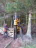 HD180 - When hanging gates I always like to set the gate up the way it's going to hang. The compactness of the HD180 allows you to do this and it would be difficult to do this with any other outfit in this confined area amongst trees.